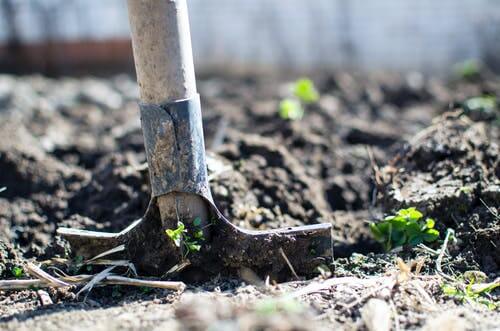 DIY landscaping with no tools required