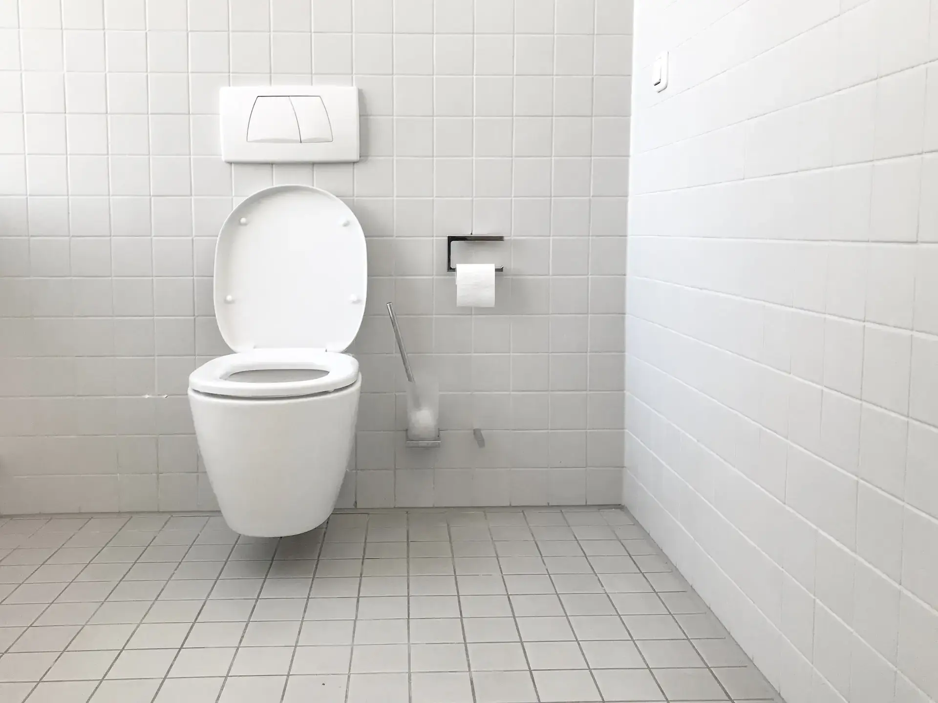 https://diyhouseprojects.net/wp-content/uploads/2022/11/plunge-a-toilet.webp