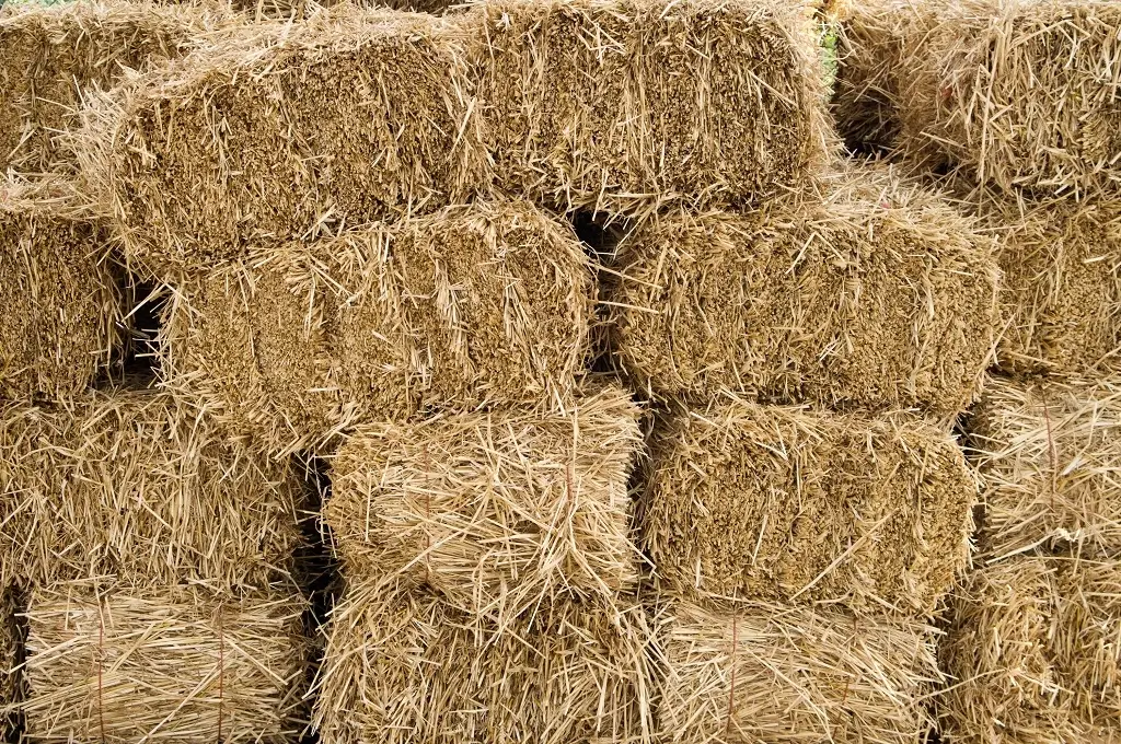 dry hay bale