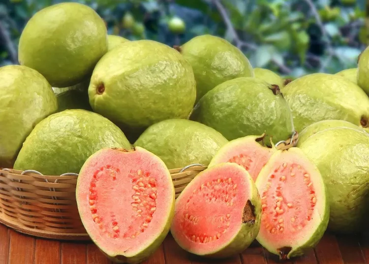 ripe guavas